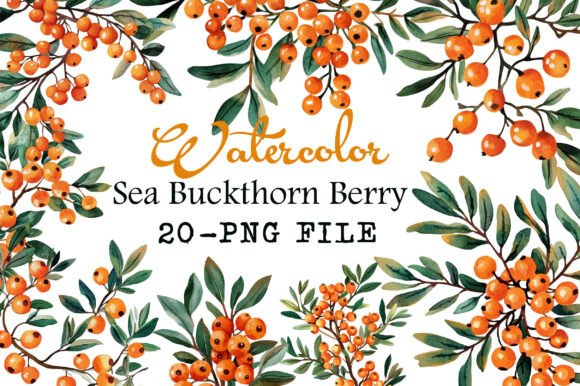 Download Watercolor Sea Buckthorn Berry Clipart - Berry clipart Collection